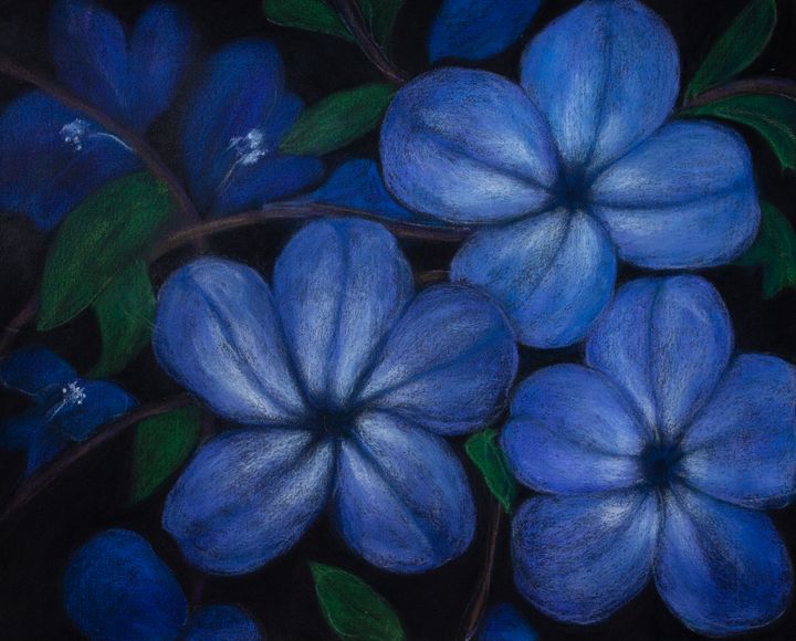 Blue Petals - In The Light