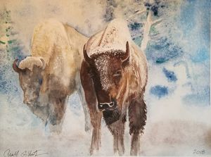"Winter in Yellowstone" Prints @ $50 - Own A Gilby                 Paul@ownagilby .com
