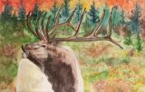 "Bull..."  Prints @ $45