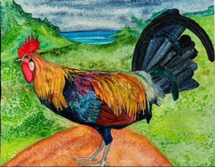 "Morning Rooster at Cook's Bay..." - Own A Gilby                Paul@OwnAGilby.com