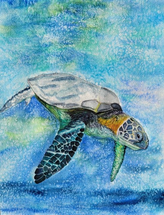 "Honu... Hawaiian Green Sea Turtle" - Own A Gilby                Paul@OwnAGilby.com