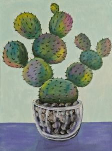Cactus in a pot, Colorful Cactus
