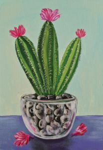 Cactus in a pot, Colorful Cactus wit