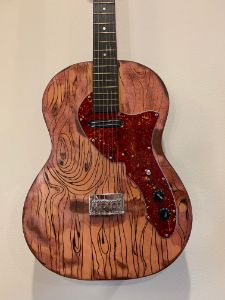 The Electric Troubadour Guitar