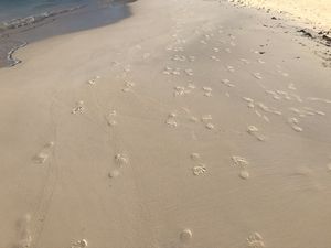 Foot print in the sand