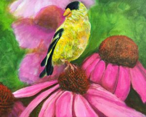 Finch on a Zinnia