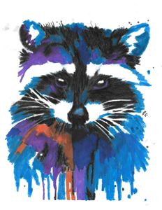 Colorful 'Coon