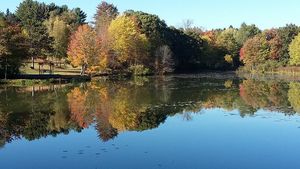 peaceful park pond