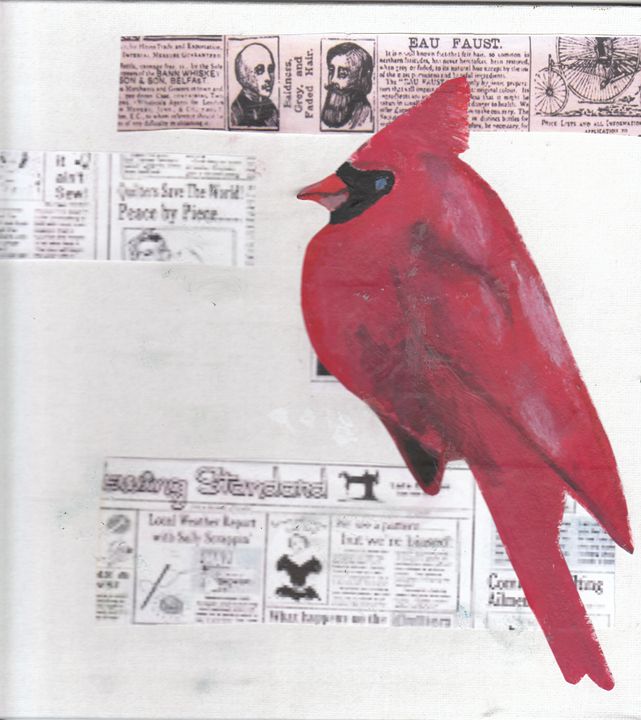 Cardinal - Katie B ART