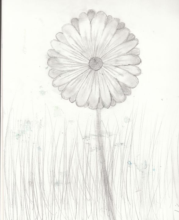 Daisy - Katie B ART