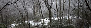 snow