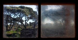 window