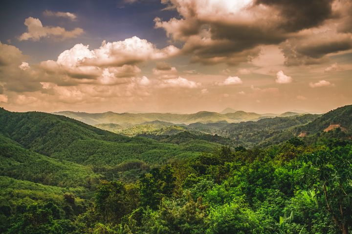 Thailand's National Park Jungle View - AJ Media Productions ...