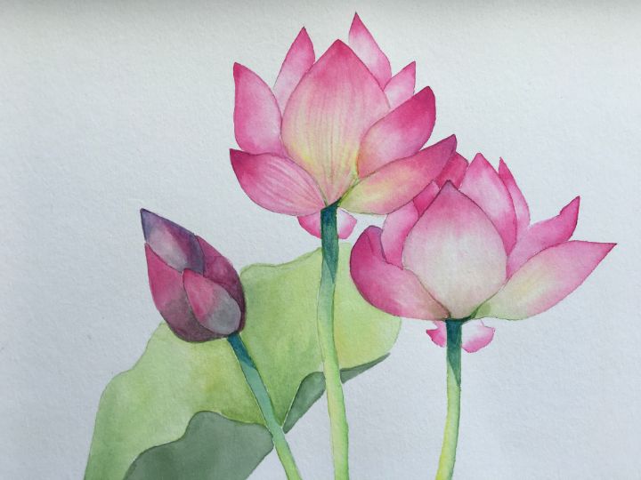 Kioto Lotus Flower - Karina Purimova - Paintings & Prints, Flowers