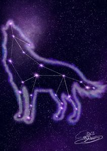 Wolf's Constellation - Soyfki