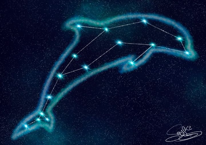 Dolphin's Constellation - Soyfki