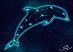Dolphin's Constellation