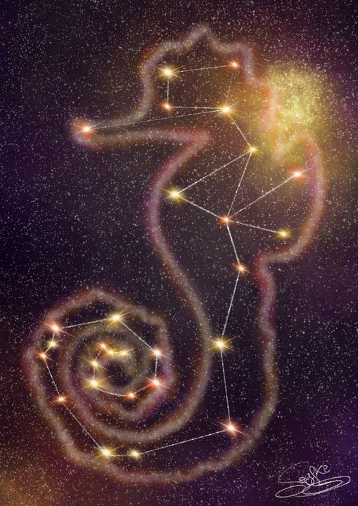 Seahorse's Constellation - Soyfki