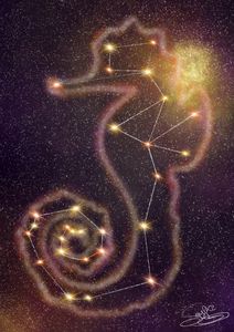 Seahorse's Constellation