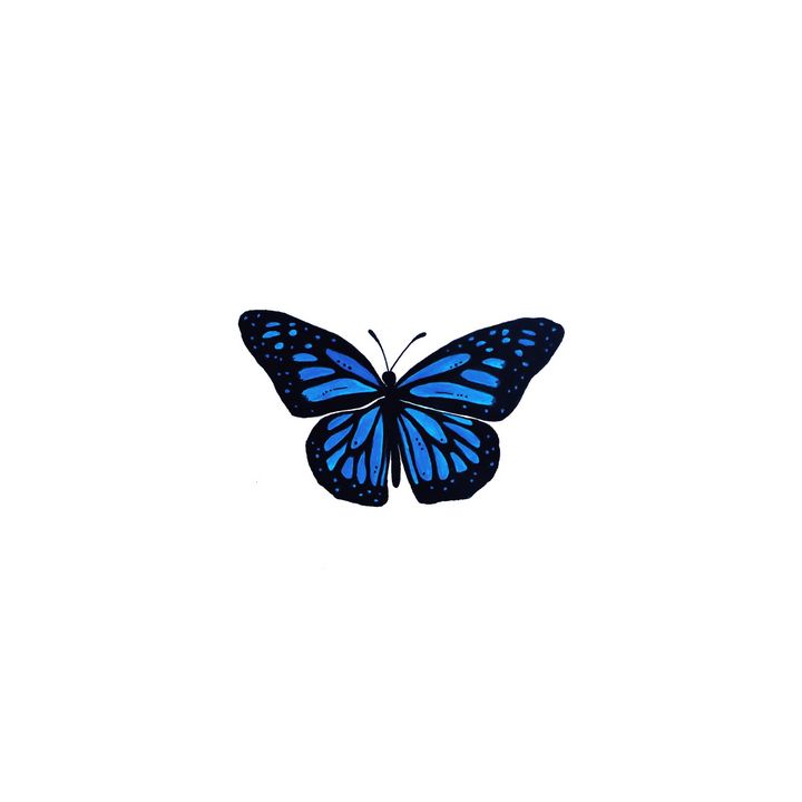 Blue butterfly - The Blueberry - Drawings & Illustration, Animals, Birds, &  Fish, Bugs & Insects, Butterflies & Moths - ArtPal