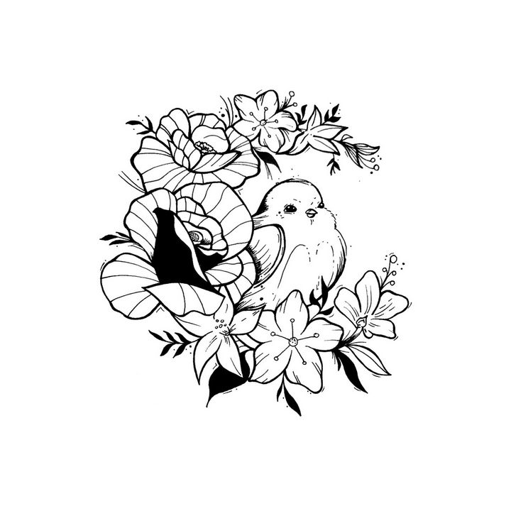 outline for kids coloring book cute bird