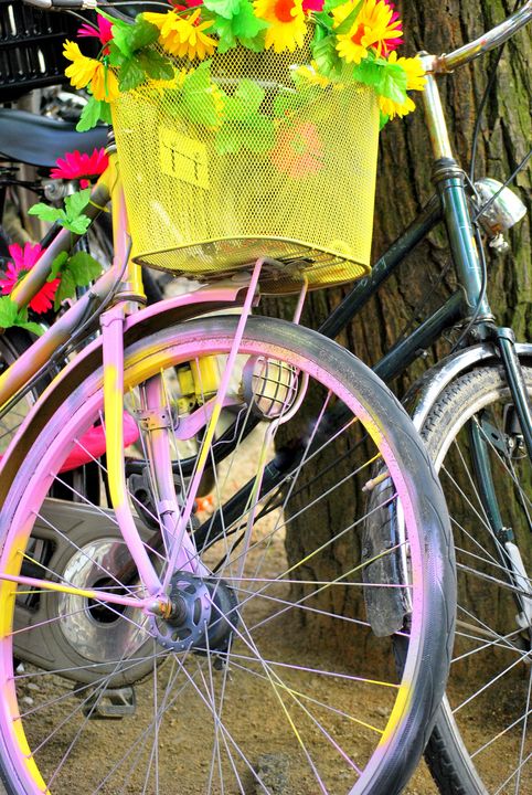 Bike with flowers in basket parked. - oscarcwilliams