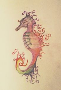 rainbow seahorse