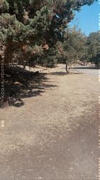 Mia Shine - Photography