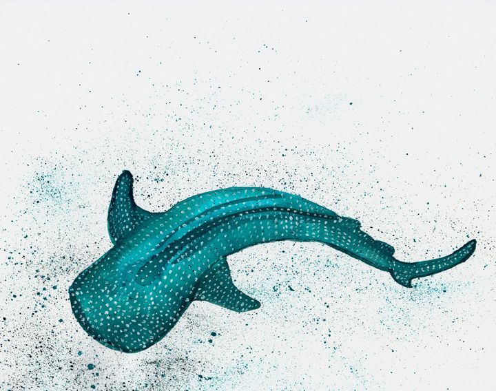 Whale Shark - Kristin Kapperman