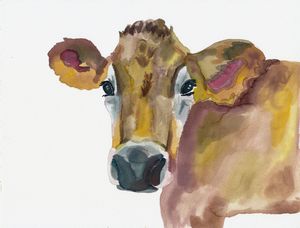 Daisy the Jersey Cow