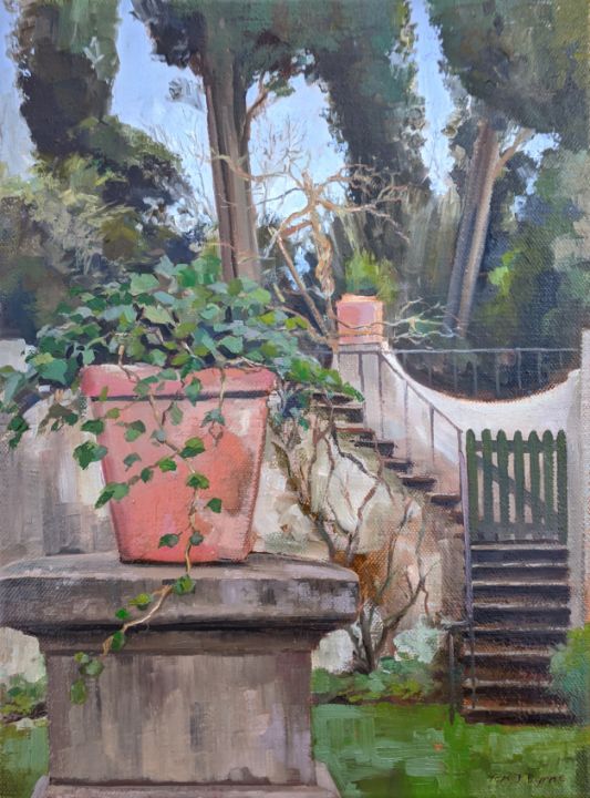 Tuscan terracotta pot with ivy - Tom J. Byrne