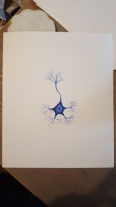 Nissl blue neuron