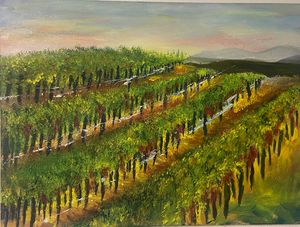 Vineyards Napa Valley
