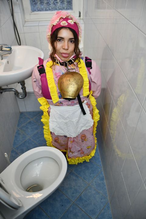 训练有素的厕所 - maids in plastic clothes
