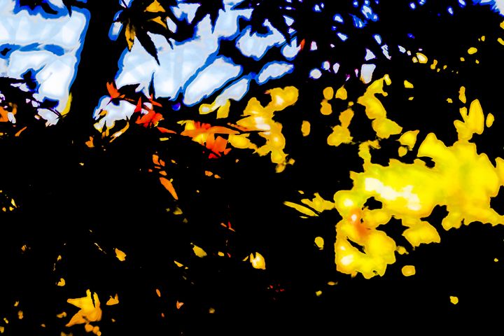 Autumn - Cintron Photography