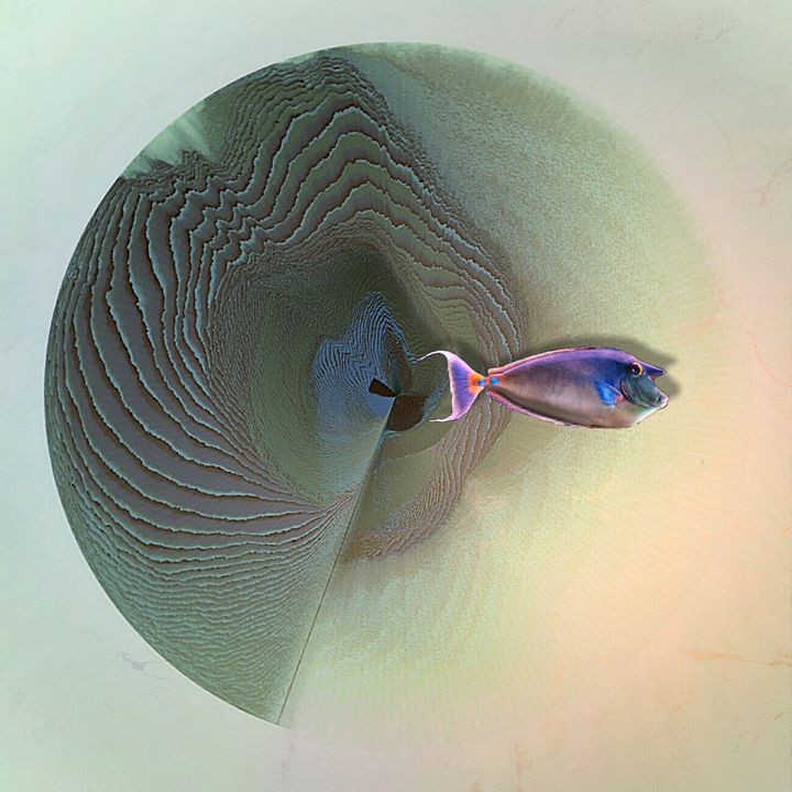 Fish out of Water - Art by "I love tiger planes" - Digital Art & AI ...