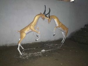 gazelle fight