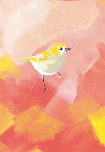 Yellow symphony of hummingbird