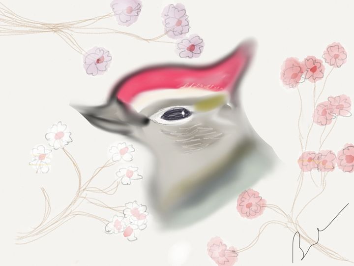 Woodpecker in Cherry Blossoms - Barbara Marlin