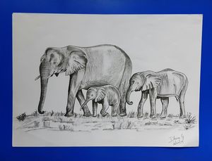 30 Elephant Family Drawing Illustrations RoyaltyFree Vector Graphics   Clip Art  iStock