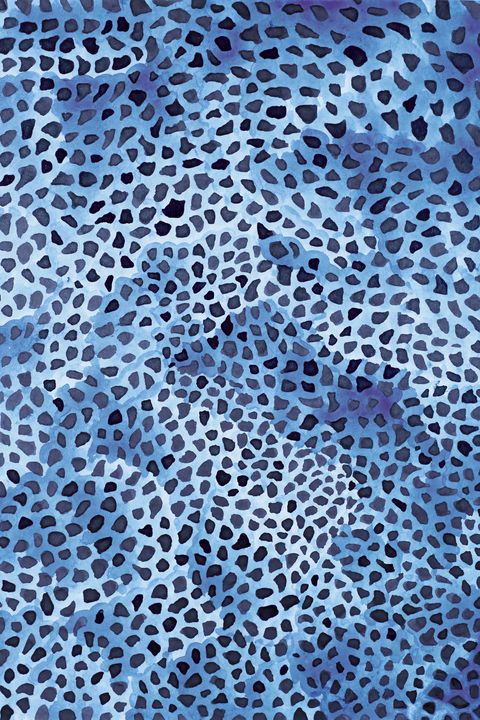 Yayoi Kasama Inspired Blue Pattern - iLegallery