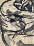 Figure Studies