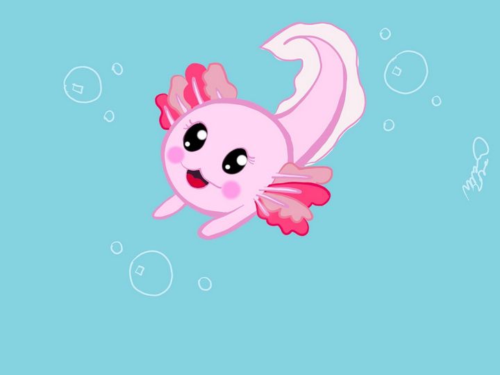 Baby Axolotl Mckaylabarkleyart Digital Art Animals Birds Fish Reptiles Amphibians Other Reptiles Amphibians Artpal