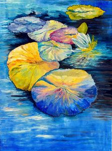 Water Lilies