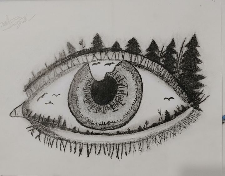 The eye - Custom drawing - Drawings & Illustration, Still Life, Other ...