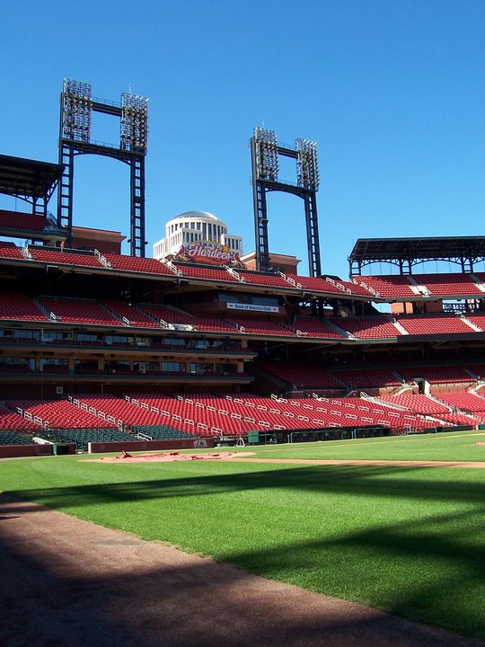 The tulips around the Stan Musial statue at Busch Stadium have