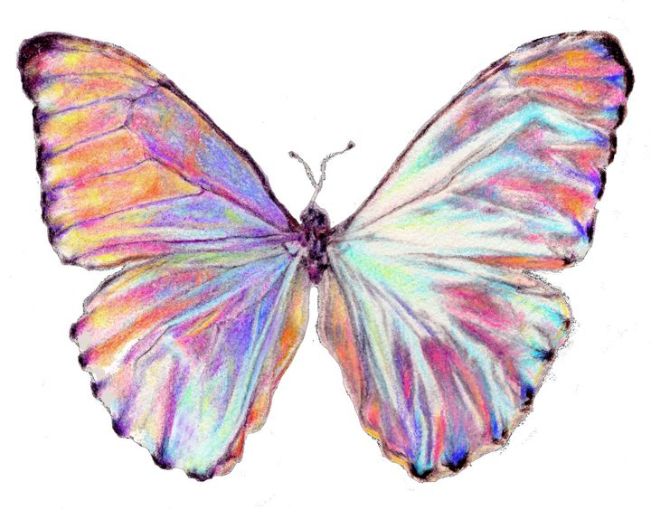 pink butterfly drawing