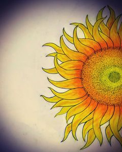 Sunflower sunshine