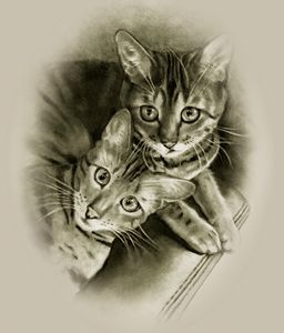 Cat And Butterfly Pencil Art - Deepa paintings - Drawings & Illustration,  Animals, Birds, & Fish, Cats & Kittens, Other Cats & Kittens - ArtPal