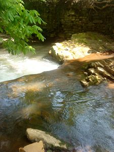Waters Drop